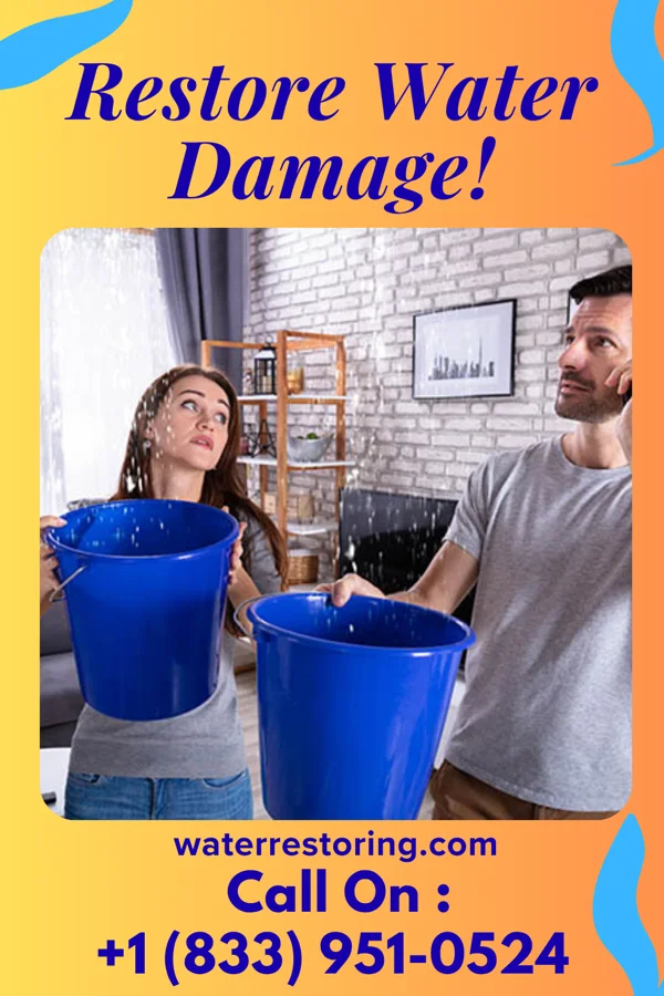water restoration Global Water Restoration Services South Monroe