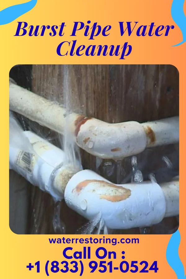 Burst Pipe Water Cleanup in South Monroe, MI