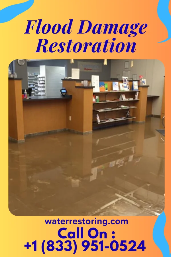 Flood Damage Restoration in South Monroe, MI