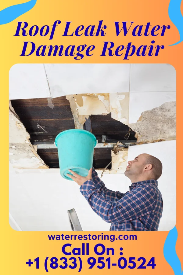 Roof Leak Water Damage Repair in South Monroe, MI
